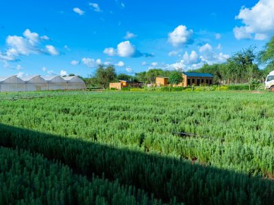 chala farm (7 of 89)(1)